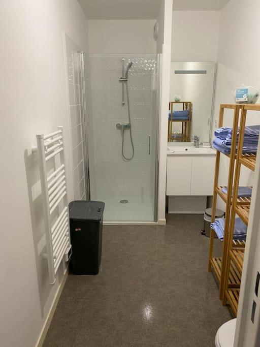 Appartement Aux Portes De Vannes Séné Exteriér fotografie